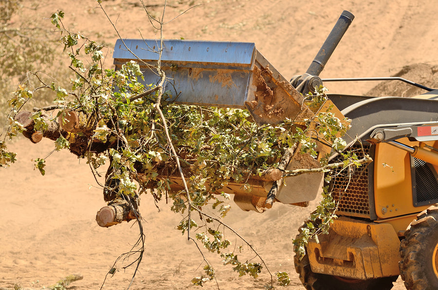 Land clearing contractor in Ogden, Utah