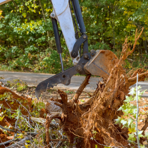 Land clearing contractor services in Ogden, Utah